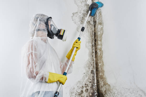 Dehumidification Services in Herald, CA